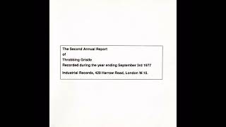 Throbbing Gristle - Untitled (Live at Southampton) [ The Second Annual Report (1977) - Track 3 ]