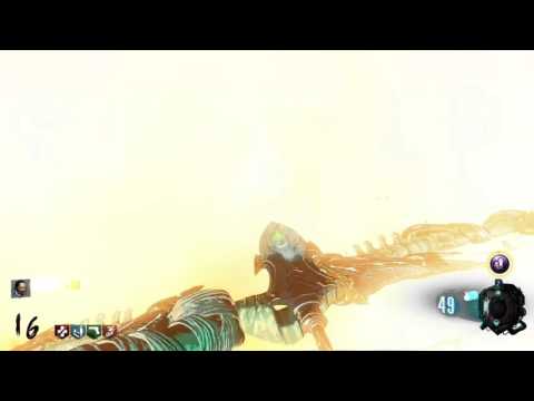 Der Eisendrache -  Time Travel Wisp Hunt