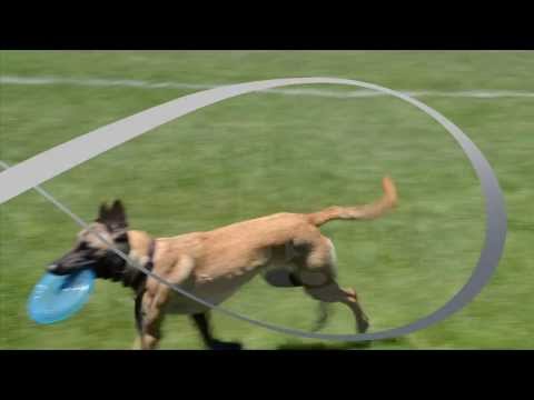 Игрушка для собак Petstages Orka Flyer Pet (Орка Летающая тарелка) 22.5см (pt68498) - фото 1 - id-p1665574639