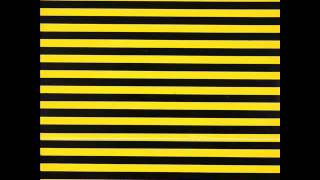 Chris Knox - Statement of Intent