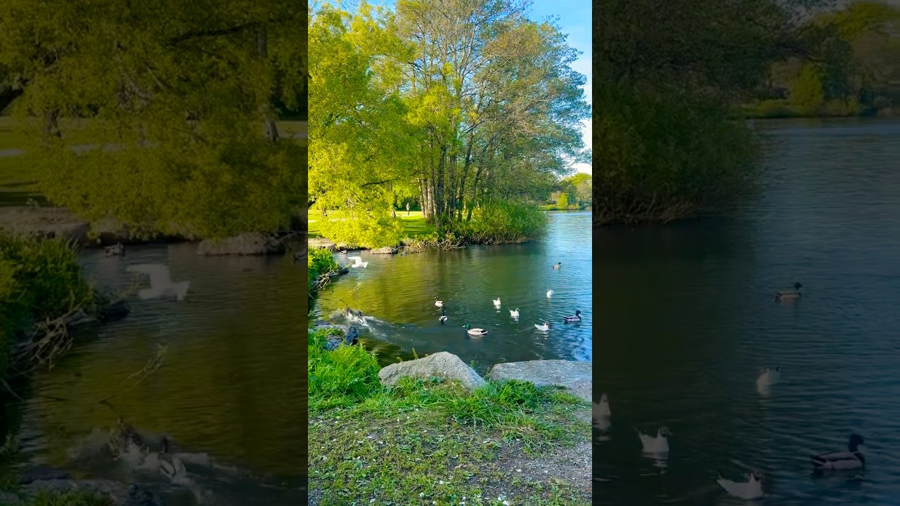 YouTube Short thumbnail