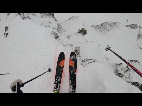 Reine Barkered SBMVC 2020 edit