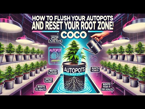 How to Flush Your AutoPots and Reset Your Root Zone! (Coco)
