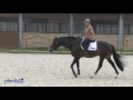 Pferd Ohne Sattel Reiten Warum Das Nicht Schädlich Ist Tipps Von Ingrid Klimke Frag Ingrid