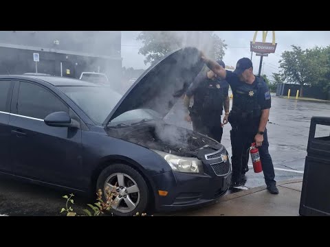 The loneliest place is the side of the road 😥 