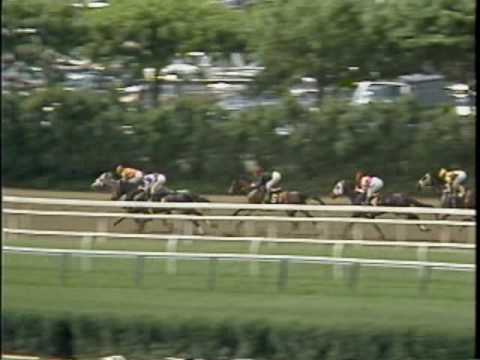 Personal Ensign - The Hempstead Handicap (G1)