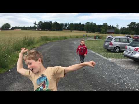 LDT 2017