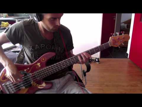 Red Hot Chili Peppers - Funky Monks - Bass Cover