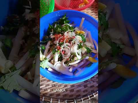 Giới thiệu với các bạn cách làm GỎI BÔNG SÚNG đơn giản nhưng rất ngon || ylanka