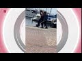 Boa wordt door jongen in het water geduwd