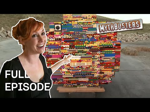 Viral Video Myths | MythBusters | Season 6 Episode 17 | Full Episode