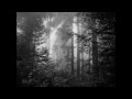 Editors - I Want A Forest