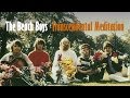 The Beach Boys  "Transcendental Meditation"