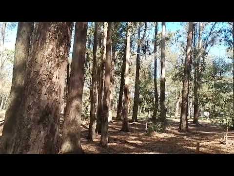 Parque Roosvelt - Dpto Canelones - Uruguay