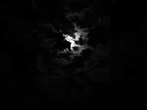 Morningstar-esreg tesreg.(ft ebo)