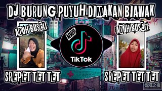 Download lagu DJ BURUNG PUYUH DI MAKAN BIAWAK❗ADUH BUSET SREPET TET TET VIRAL TIK TOK FULL BASS mp3
