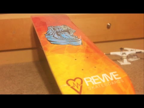 REVIVE: Doug Des Autels T-Rex Summer Set Up
