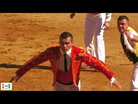 The gaps in the first block of the French Elite Championships of Course Landaise