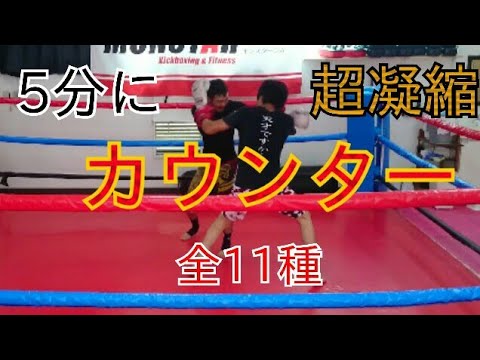パンチ【カウンター、受け返し】(vol.1)11種
5分で新発見、上達！？
初級～中級編(実践のみ)