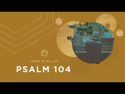 Psalm 104 | Wrapped in Light | Bible Study