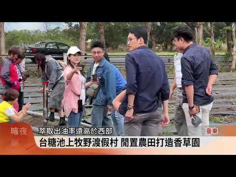 業者租臺東台糖農地 打造全臺最大香草園