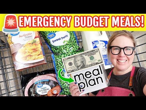 🚨EASY Emergency Budget Dinners! Feed Your Family for UNDER $10