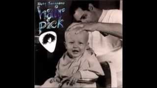 Blues Saraceno King For A Day Guitar Cover Hd