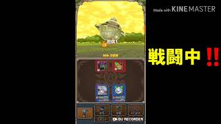 【テリワン生声実況】ねむりの扉-黄金郷-入手魔物とは⁉️part24