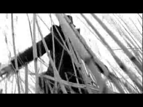 Alter Ego / JUNGLE EP 8