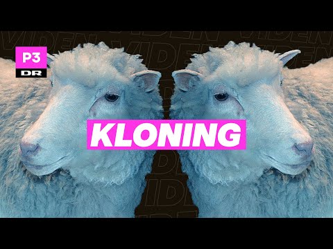 Et får fik hele verden til at snakke om kloning - hvad endte det med?