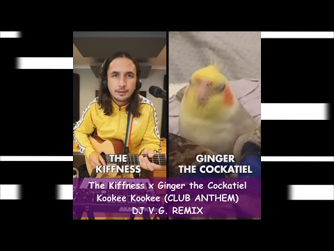 The Kiffness x Ginger the Cockatiel - Kookee Kookee (CLUB ANTHEM) [DJ V.G. Remix]