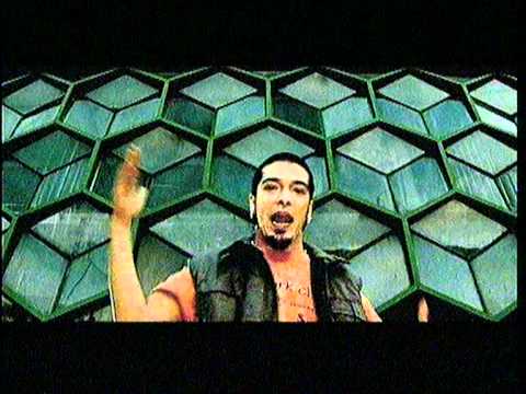 Parazitii - Shoot Yourself