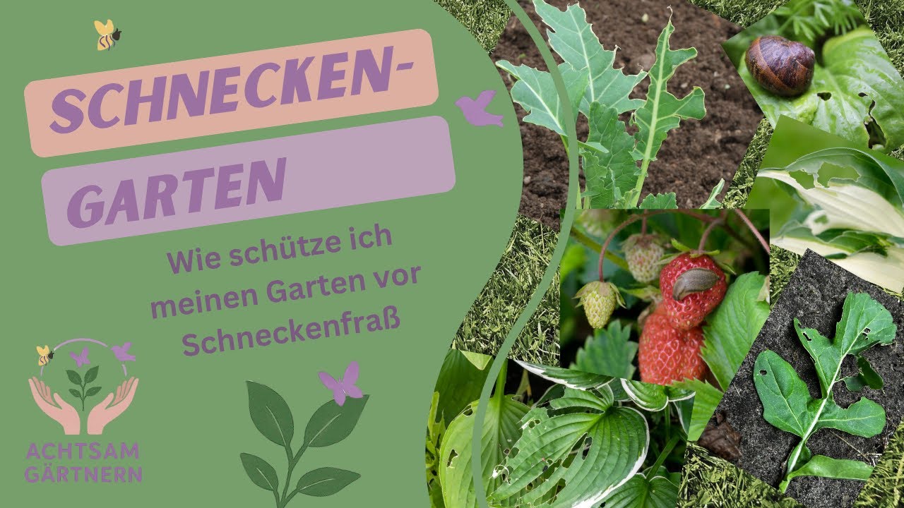 Schneckengarten