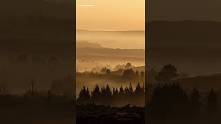 Sophie Ellis-Bextor - Murder On The Dancefloor (Lyrics)