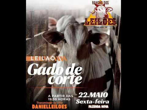 Fazenda Nova - GO   22/05/2026