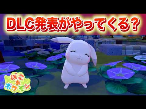 Is a Pocoa Pok&eacute;mon DLC Announcement Coming? [PocoPoke]