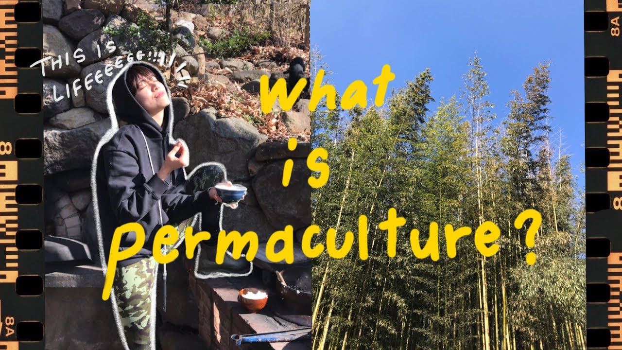 パーマカルチャーで見つけた幸せ🌿Let's learn about permaculture!【Girls Trip#1】 thumnail