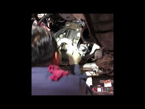 Rear Main Seal 2010 Audi A4 2.0T