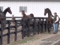 Reedannland Teasing With County Treasure
