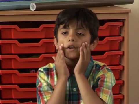 Discover with Dex 2 - Nursery rhyme video