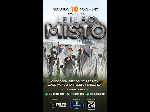 LEILÃO MISTO - SINDICATO RURAL DE MATUTINA-MG