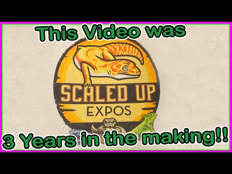 Scaled Up Expos 3 year Milestone!