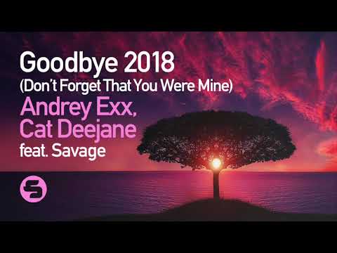 Andrey Exx & Cat Deejane feat. Savage - Goodbye 2018 (Original Club Mix)