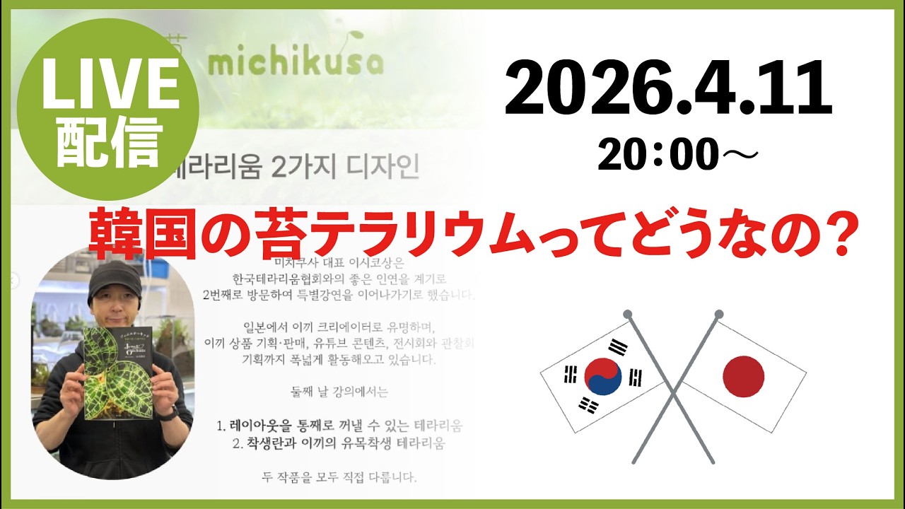 日本の苔テラリウムが韓国で大人気？！