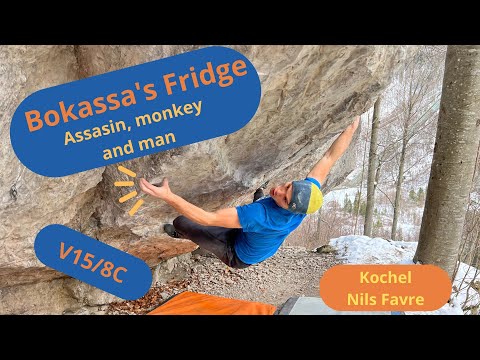 V15 - Bokassa's Fridge - Assasin, monkey and man - Kochel - UNCUT
