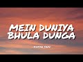 MEIN DUNIYA BHULA DUNGA KUMAR SANU LYRICS