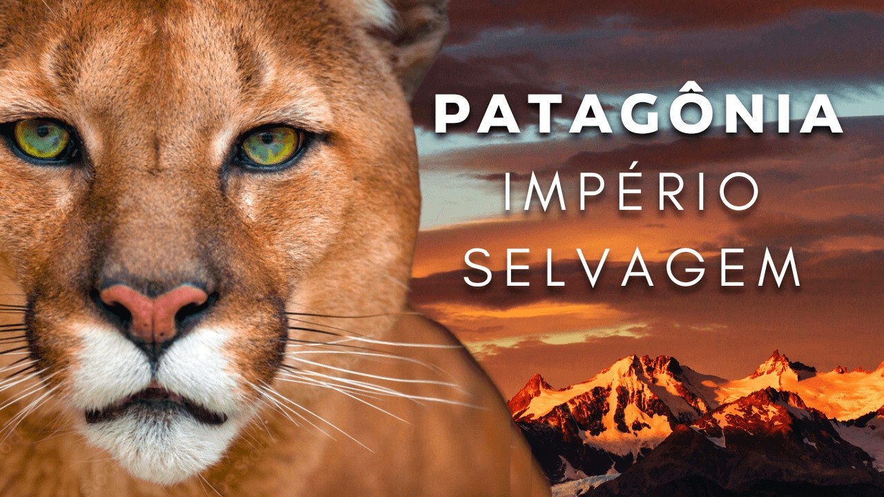 PATAGONIA: Savage Empire [Full Documentary]