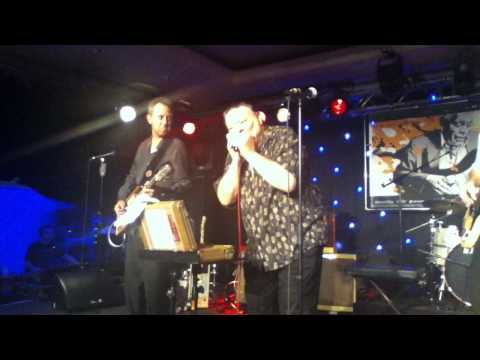 Thumbnail for James Harman's Bamboo Porch Revue at Lucerne Blues Festival 2013 by James Harman
