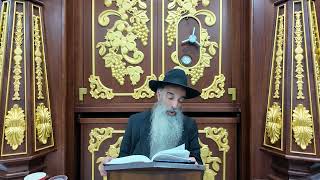 הרב מאיר דוד שמואלי - ביאור מגילת אסתר פרק א - ב