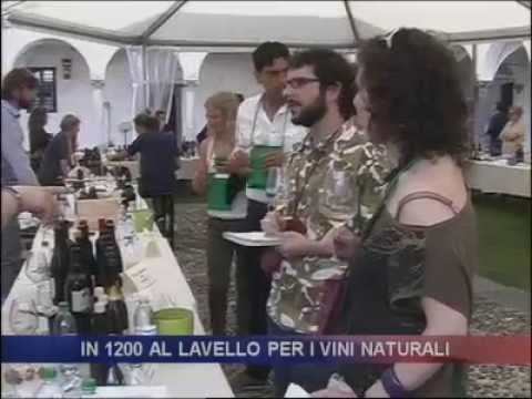 video teleunica IN 1200 AL LAVELLO